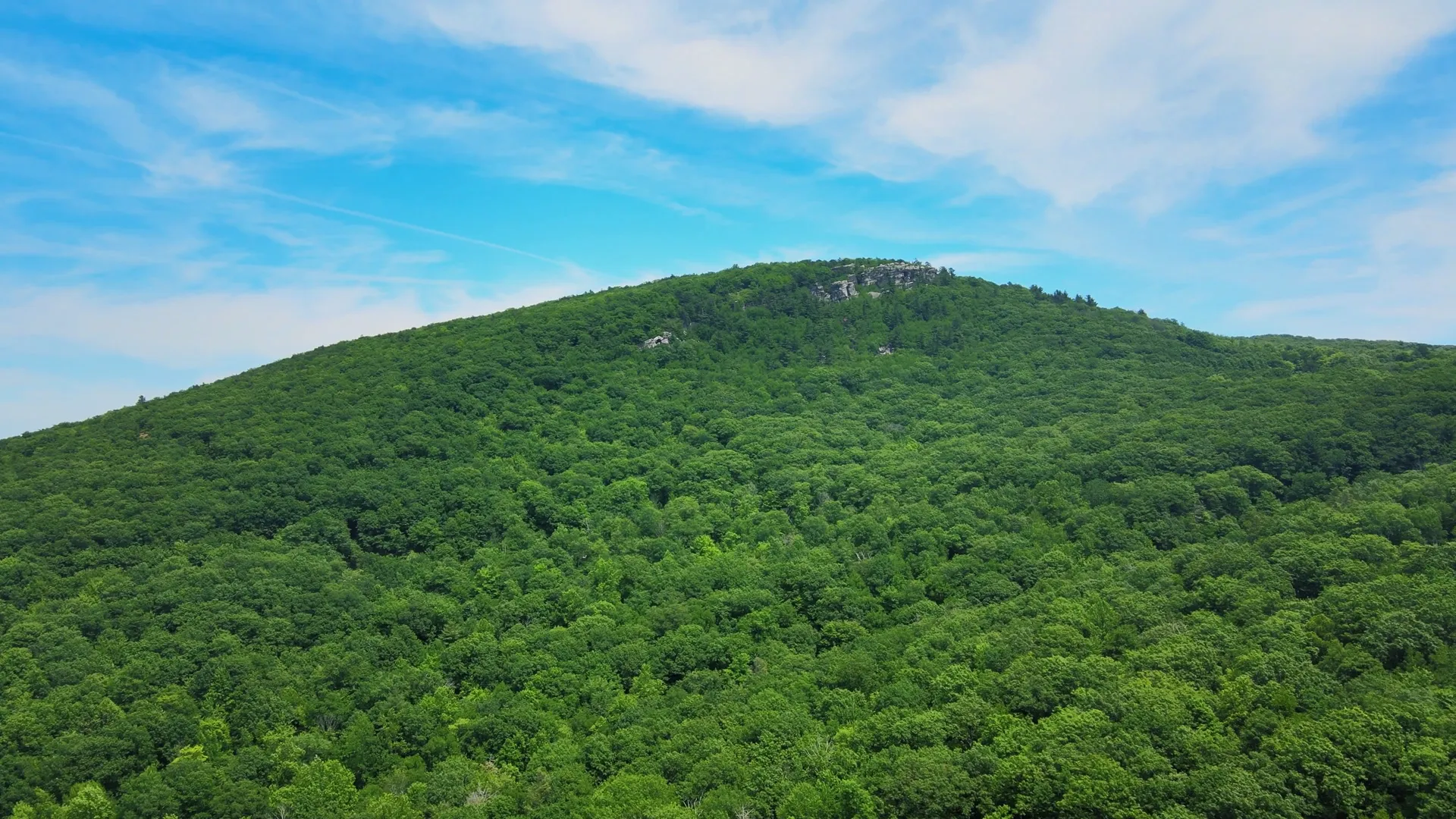 an uphill image of The Gunks climbing area covered in green trees.